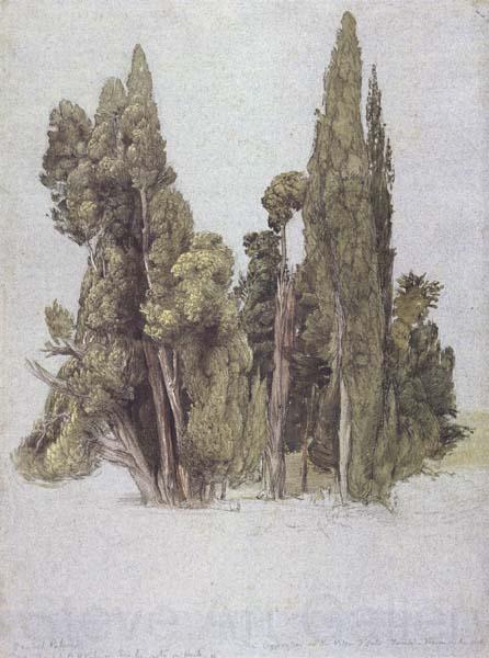 Samuel Palmer The Cypresses at the Villa d'Este Spain oil painting art